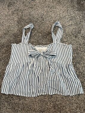 American Eagle Outfitters Blue and White Striped Tie-Front Cropped Cami
